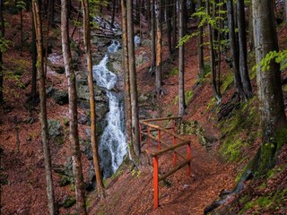 Chalet Benecko Environnement 35