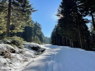 Chalet Benecko Entorno 29