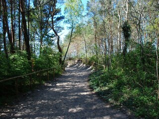 Ferienhaus Pobierowo Umgebung 23