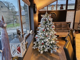 Holiday house Daverdisse  39