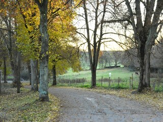 Casa per le vacanze Daverdisse Registrazione all'aperto 7