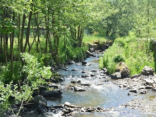 Holiday house Daverdisse Environment 32