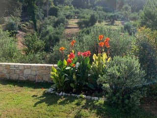 Villa Afionas Außenaufnahme 13