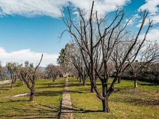 Vakantiehuisje Chalkoutsi Omgeving 33
