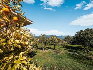 Casa vacanze Chalkoutsi Ambiente 34