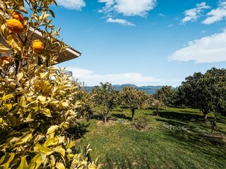 Holiday cottage Chalkoutsi Environment 34