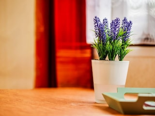 Chalet Putten  32