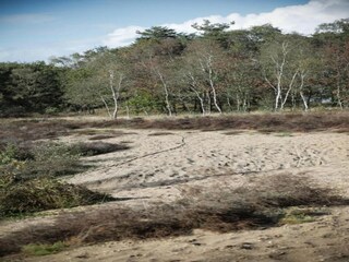 Chalet Putten Entorno 22