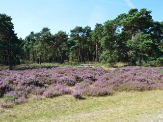 Chalet Putten Ambiente 24