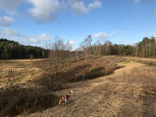 Chalet Putten Environnement 24
