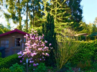 Chalet Putten Grabación al aire libre 9