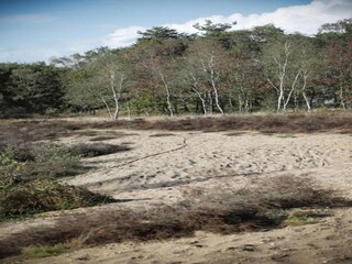 Chalet Putten Umgebung 30