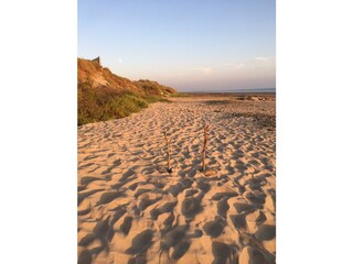 Vakantiehuis Bretteville-sur-Ay Omgeving 28