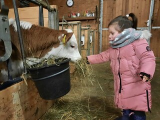 Erlebnis Bauernhof -täglich möglich