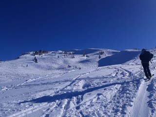 Winter - Tourengehen zum Feldalphorn