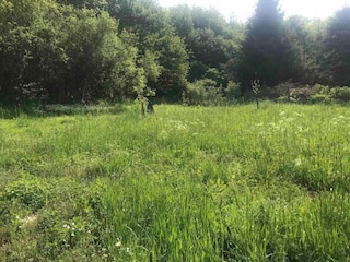 Ferienhaus Auw bei Prüm Umgebung 28
