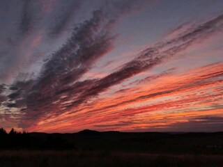 Ferienhaus Auw bei Prüm Umgebung 30