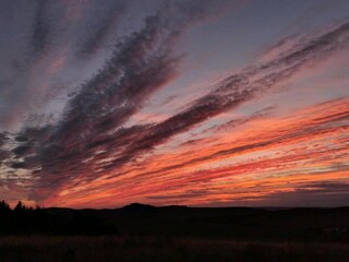 Casa per le vacanze Auw bei Prüm Ambiente 25