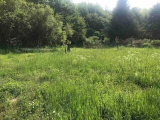 Casa per le vacanze Auw bei Prüm Ambiente 26