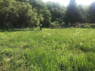 Ferienhaus Auw bei Prüm Umgebung 30