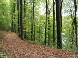 Casa de vacaciones Auw bei Prüm Entorno 38