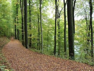 Vakantiehuis Auw bei Prüm Omgeving 37