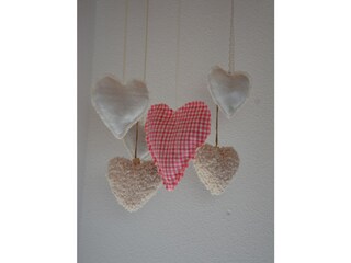 Casa per le vacanze Mellau Caratteristiche 30