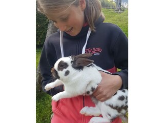 Casa per le vacanze Mellau Ambiente 48