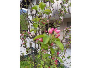 Casa per le vacanze Mellau Registrazione all'aperto 5