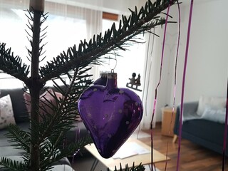 Casa per le vacanze Mellau Caratteristiche 15