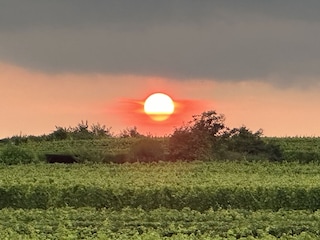 Sonnenuntergang hinterm Haus