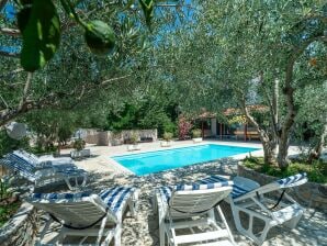 Vakantiehuis met privיzwembad en spa - Bibinje - image1