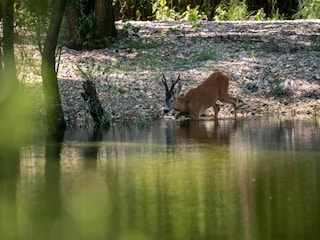 Villa Rajki Umgebung 32