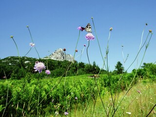 Vakantiehuis Gračac Omgeving 19