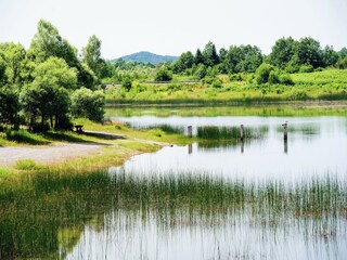 Ferienhaus Gračac Umgebung 15