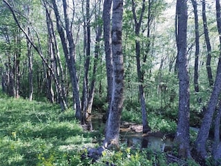 Holiday house Gračac Environment 16