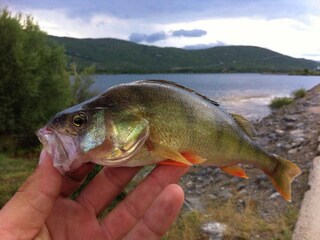 Holiday house Gračac Environment 35