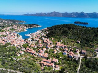 Ferienhaus Veli Iž Umgebung 36