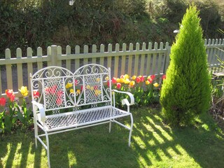 A seat in the sun