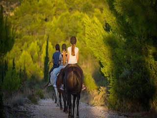 Apartment Mihanići Environment 20