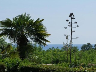 Villa Karigador Environnement 31