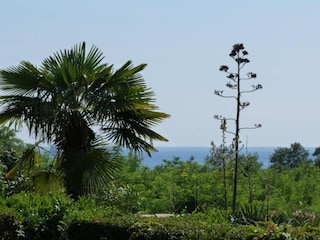 Villa Karigador Umgebung 38