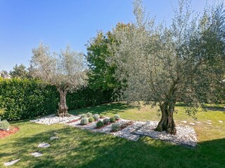 Villa Vižinada Außenaufnahme 6