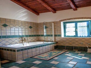 Villa Nenadići Características 24