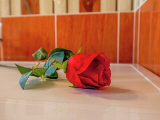 Apartamento Dramalj  33