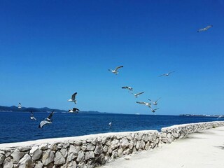 Appartamento Bibinje Ambiente 33