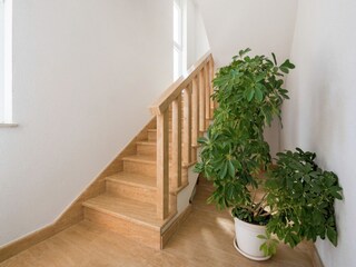 Appartamento Kaštel Stari Caratteristiche 22