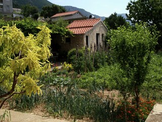 Appartement Kaštel Stari Buitenaudio-opname 13