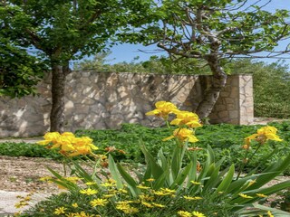Apartment Kaštel Stari Außenaufnahme 16