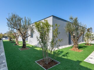 Vakantiehuis Povljana Buitenaudio-opname 2